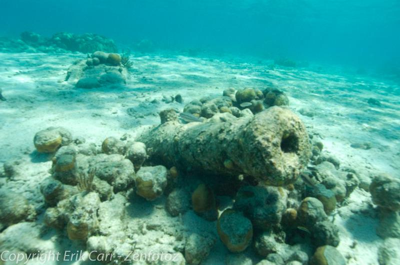 BVI Diving-0029.jpg